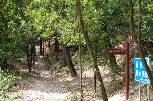 【顺德出发】拾遗中山岐澳古道可获得学分:60