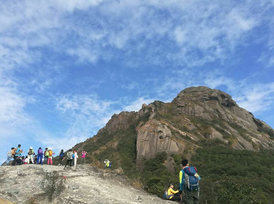 雲髻山擁有嶺南最大片原生的三角楓 楓葉的顏色會隨海拔的高度變化