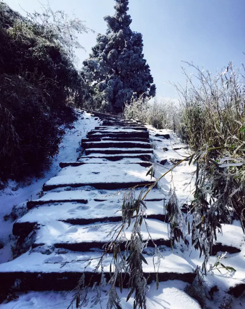 从南岳后山的龙凤乡红旗小学开始,行走衡山北山朝圣古道,经报信岭